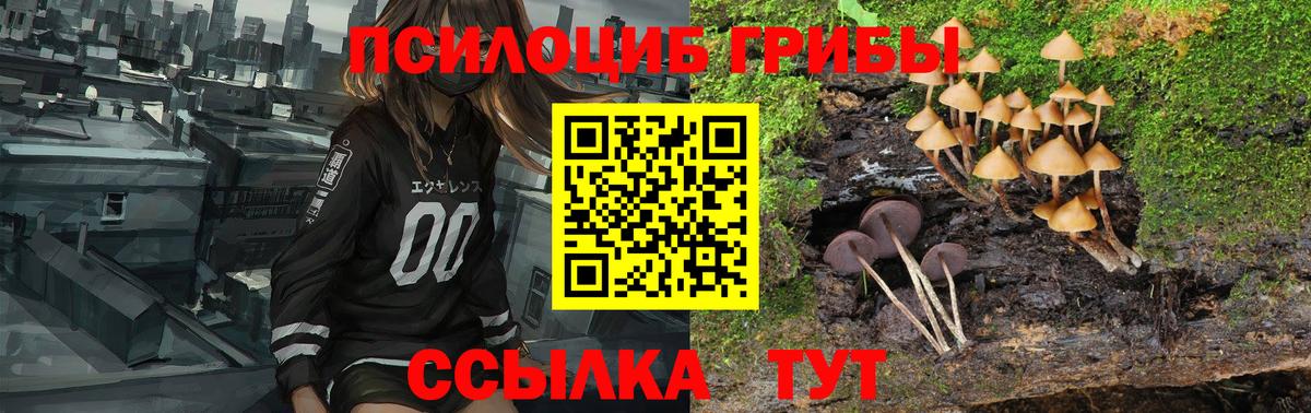 Галлюциногенные грибы Magic Shrooms Сунжа