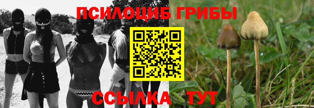 Псилоцибиновые грибы Cubensis  Вход с VPN  Галлюциногенные грибы прущие грибы  где продают   Сунжа 